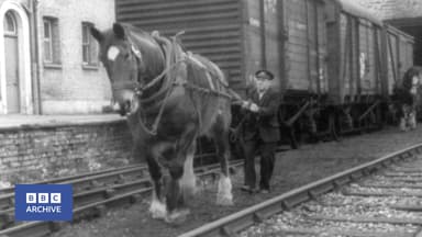 1962: The Last Railway Horses | Tonight | World of Work | BBC Archive