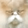 an0nymooose avatar